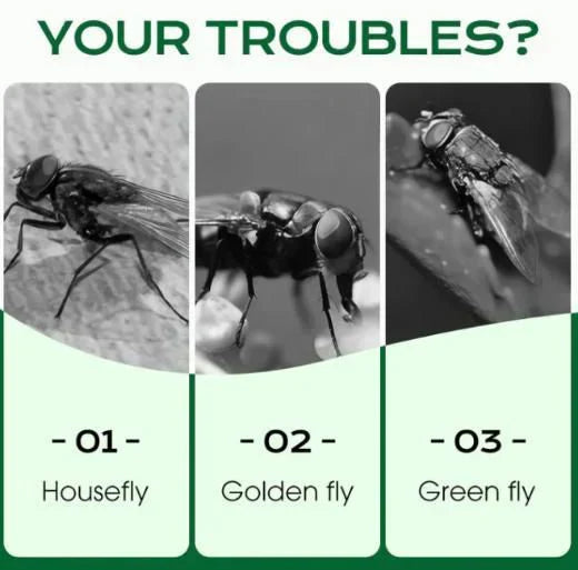 Multi-Scene Fast-Acting Fly Killer ! Buy 1 Get 1 Free 🔥🔥
