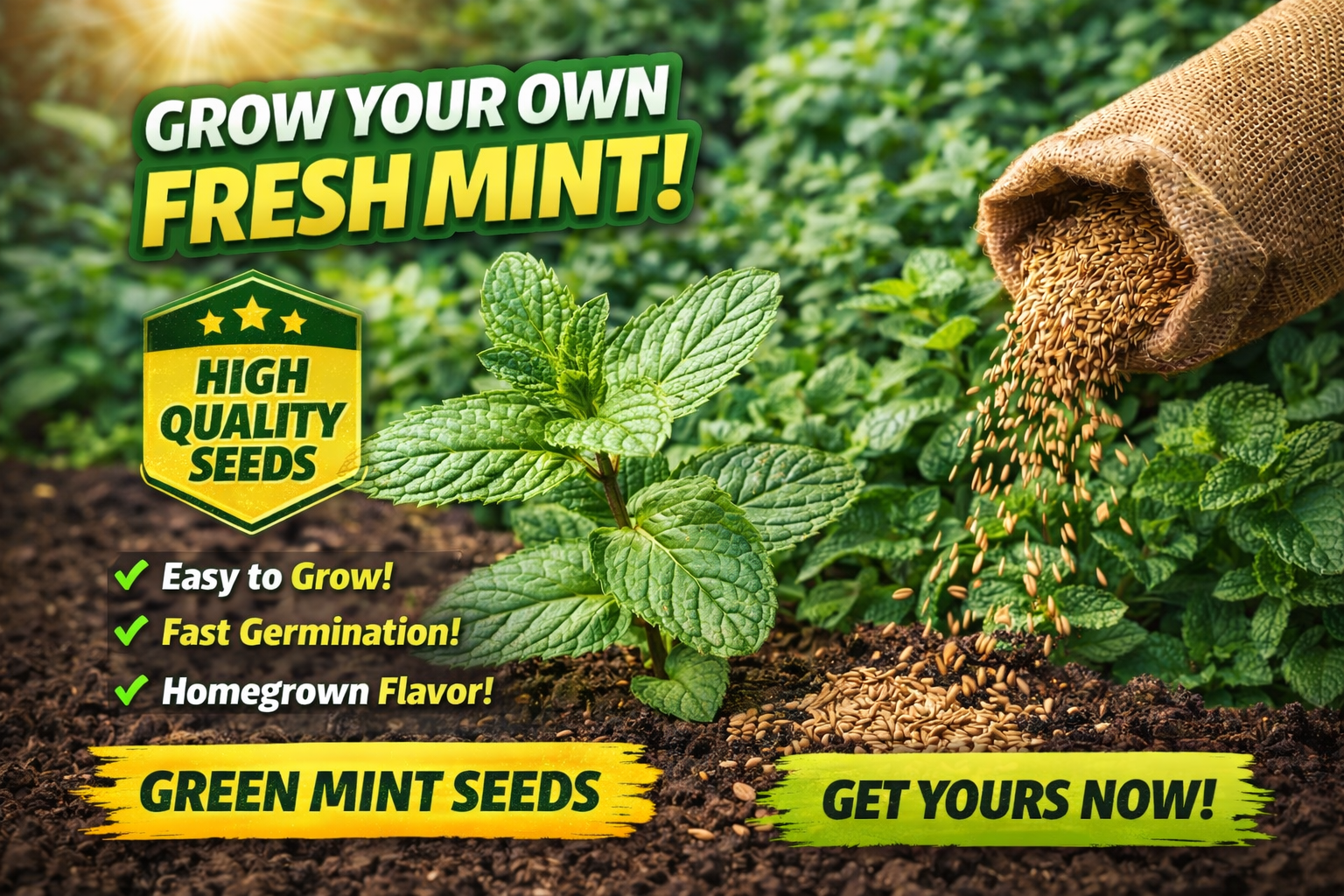 🌿 Mint Seeds – Fresh, Healthy & Easy to Grow | 🔥Buy 1 Get 1 Free🔥