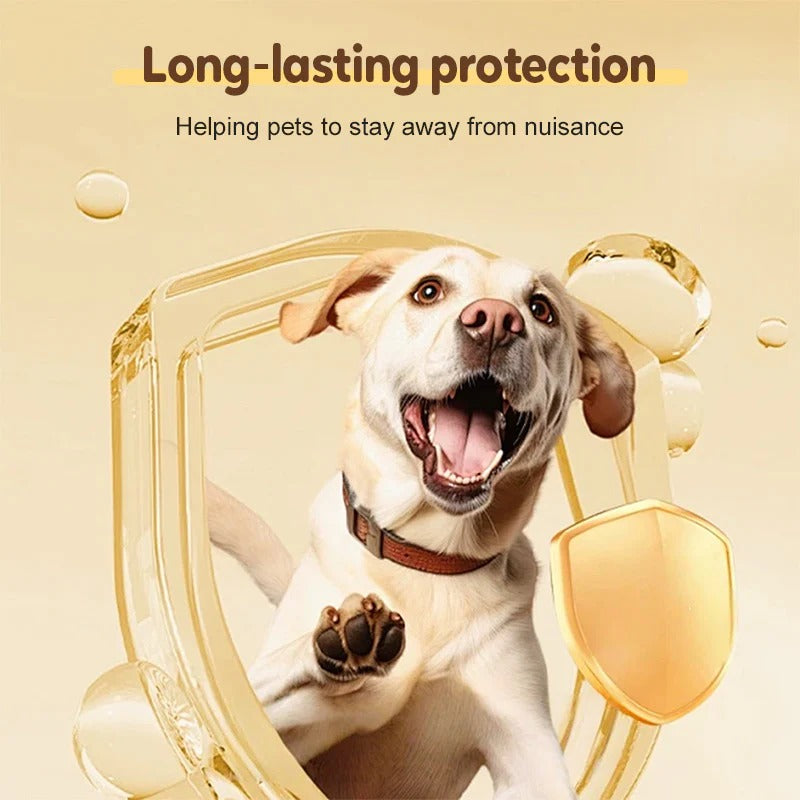 🚀🐛Buy 1 get 1 free🐱Flea and tick repellent spray for cats and dogs🐶 Secondary image